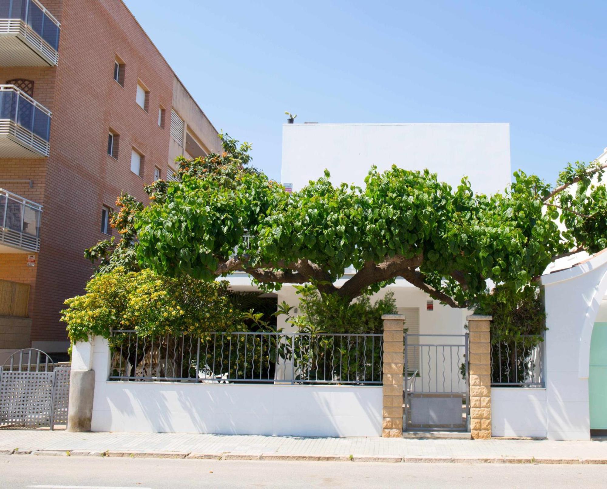 Villa Paula Trinidad 萨洛 外观 照片